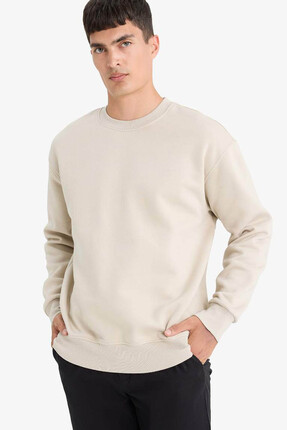 DeFacto Taş Erkek Sweatshirt T5139AZ/BG735